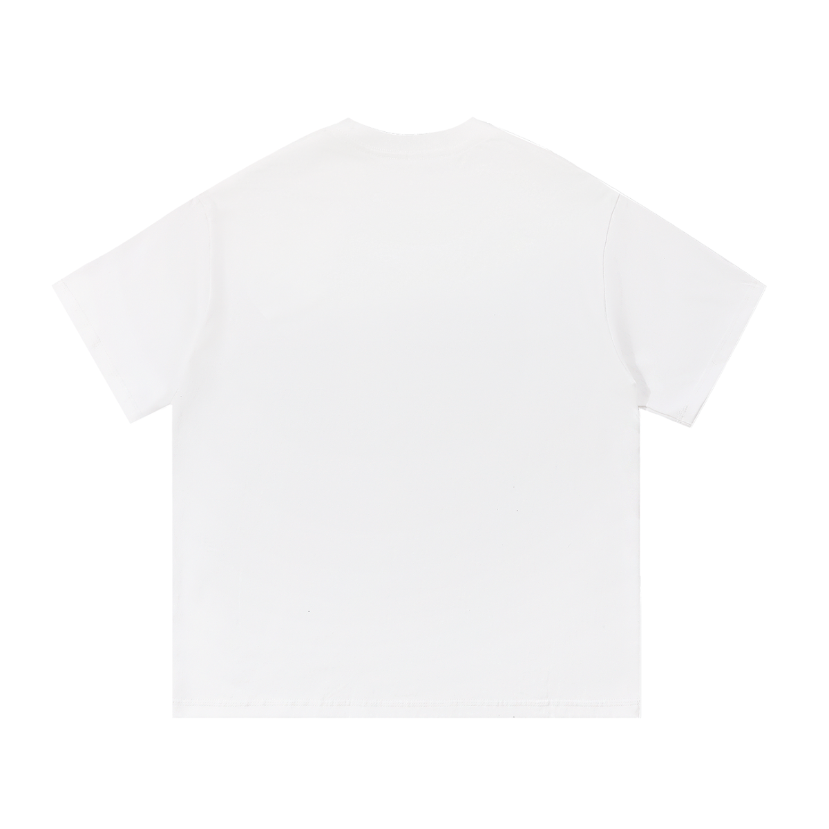 BWG Abduction Tee in white, plain back view