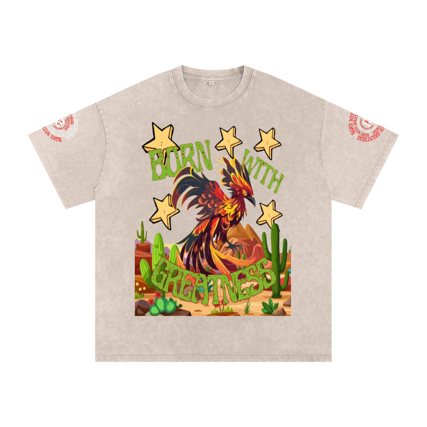 Snow Washed Oversized Cotton T-Shirt